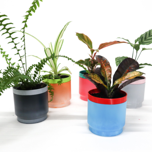 Self-watering-planter-pots