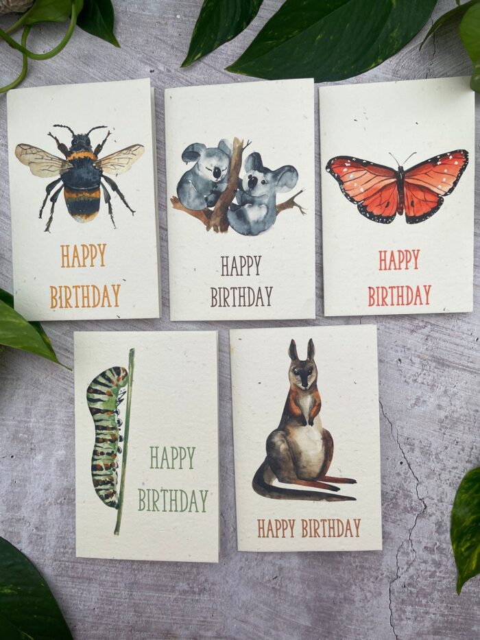 plantable-seeded-cards-happy-birthday
