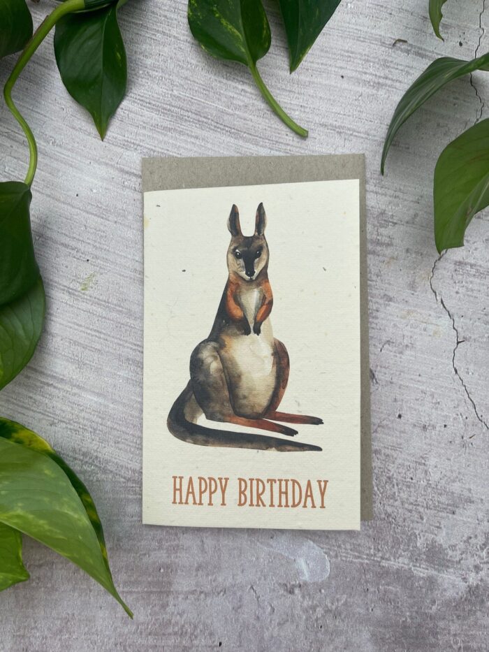 plantable-greeting-cards-australia