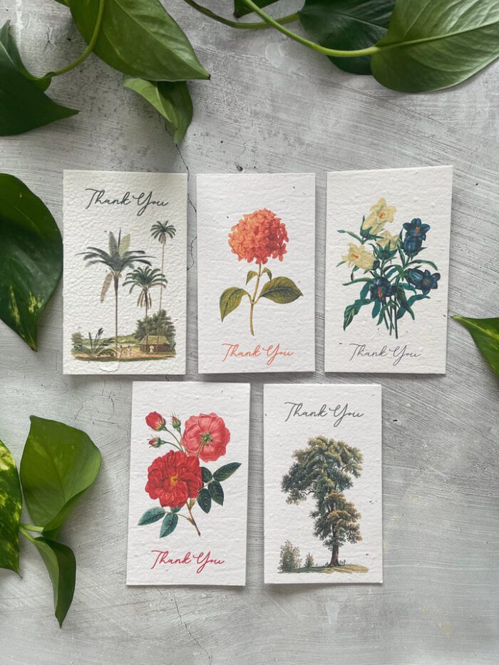 cards-with-seeds-in-them