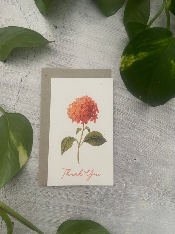 seeded-greeting-card-eco-friendly