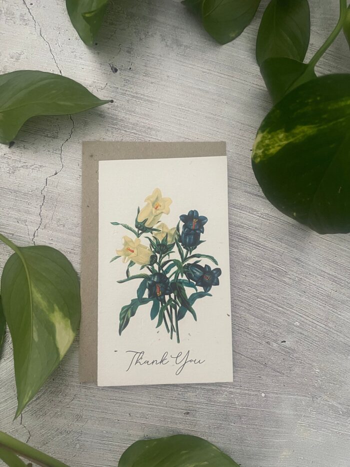 seeded-greeting-card