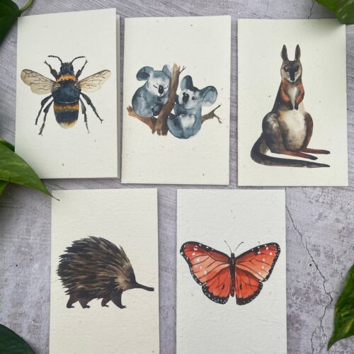 seeded-greeting-cards