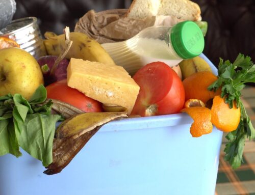 How to Reduce Food Waste in Your Home: Simple Tips for Sustainable Living