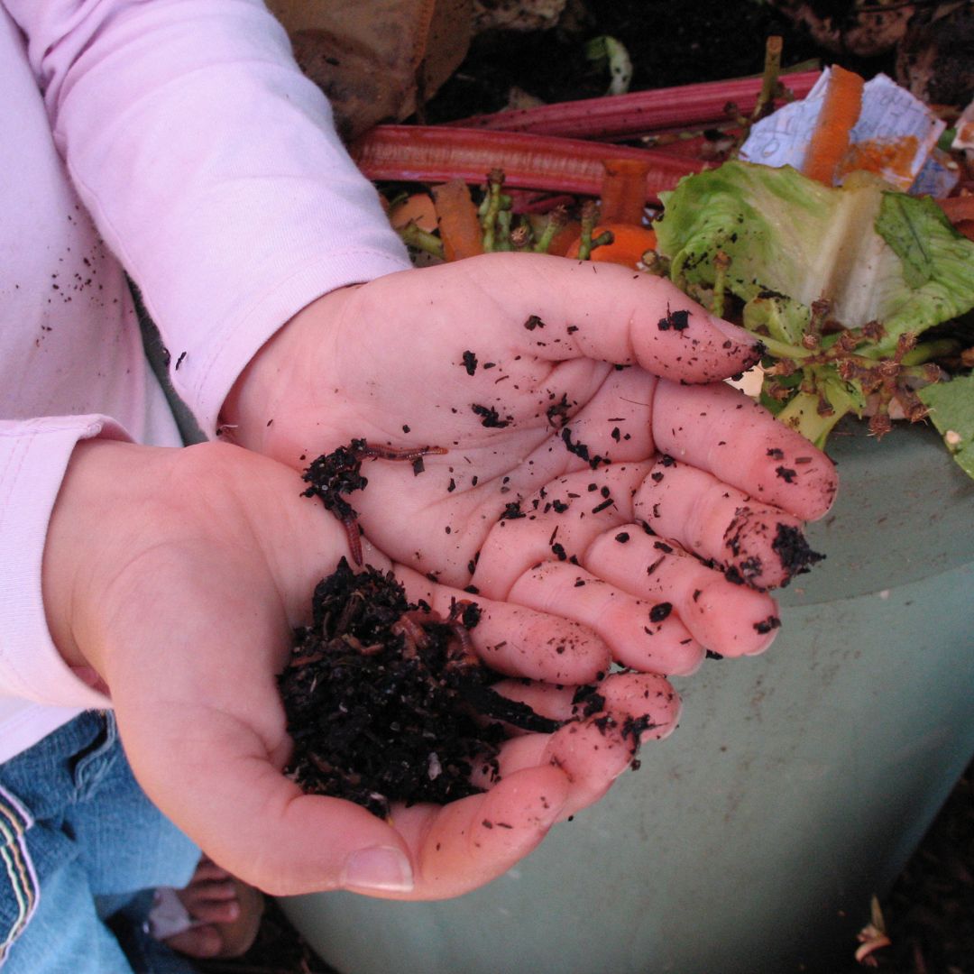 composting-for-beginners