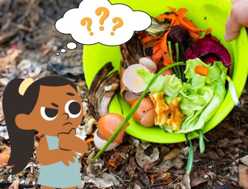 What to Compost and What Not to Compost: A Comprehensive Guide