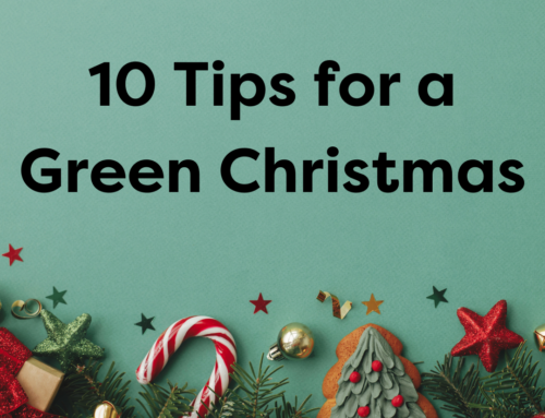 10 Tips for a Green Christmas