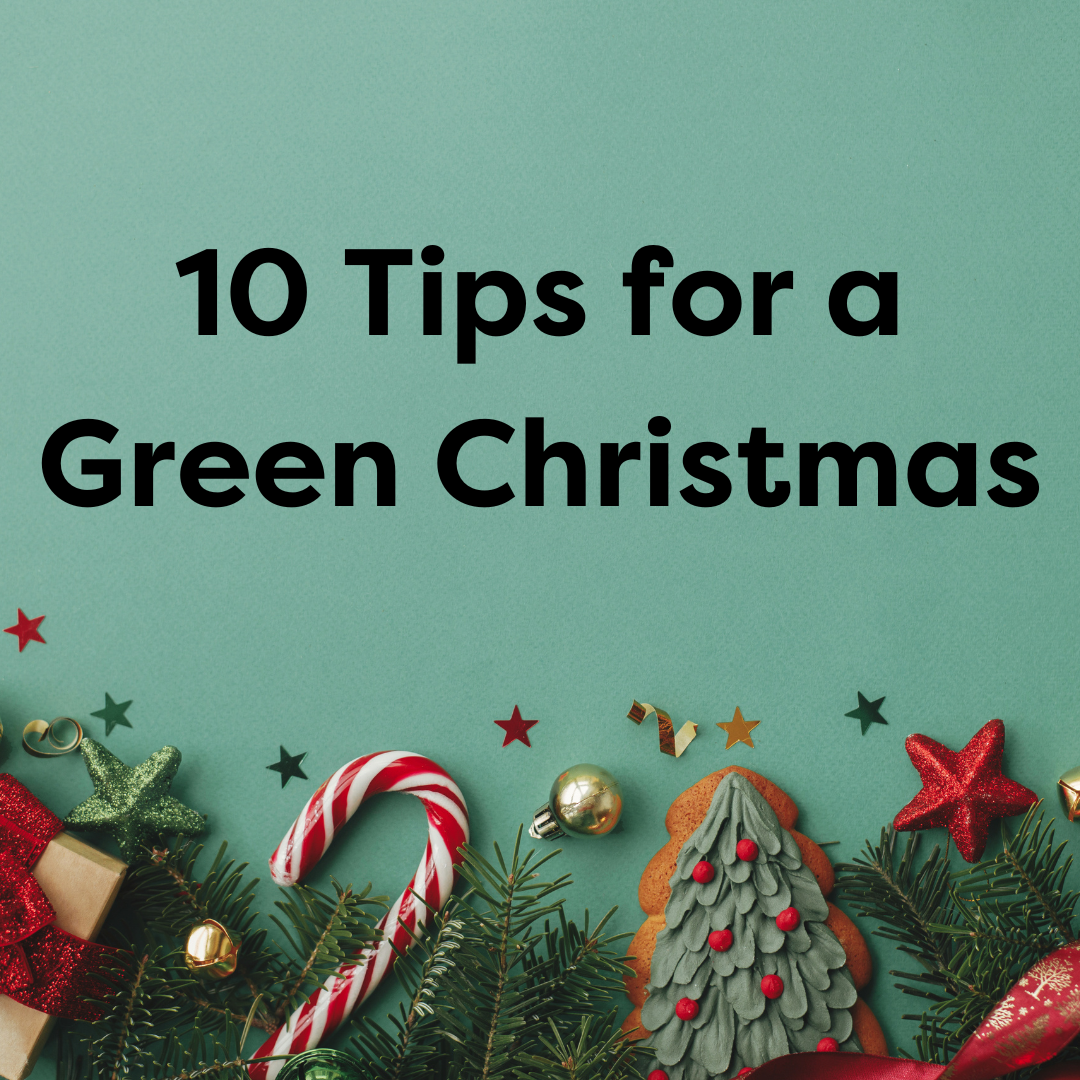 green-christmas-eco-friendly